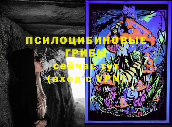 амф Алексин