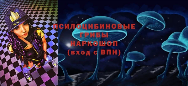 амф Алексин