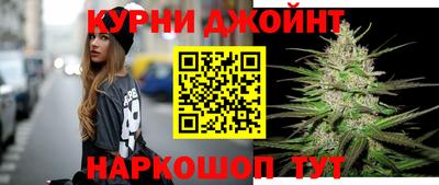 стаф Кингисепп