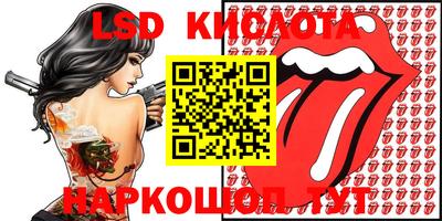 стаф Кингисепп