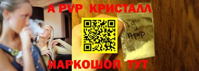 стаф Кингисепп