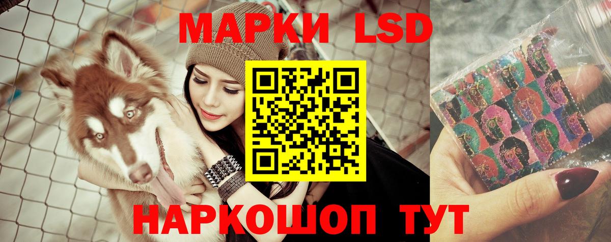 Усть-Илимск  Лсд 25 экстази кислота  Лсд 25 экстази ecstasy  Вход с VPN 