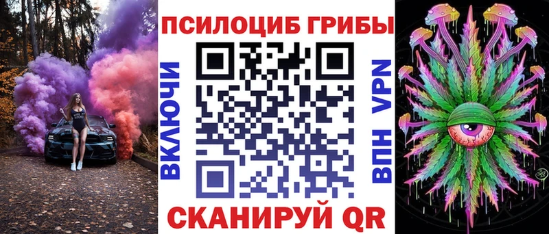 купить  цена  Усть-Илимск  Псилоцибиновые грибы Psilocybe 