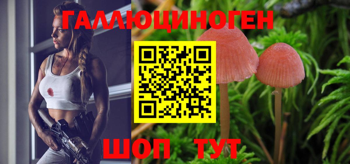 Псилоцибиновые грибы Cubensis Усть-Илимск