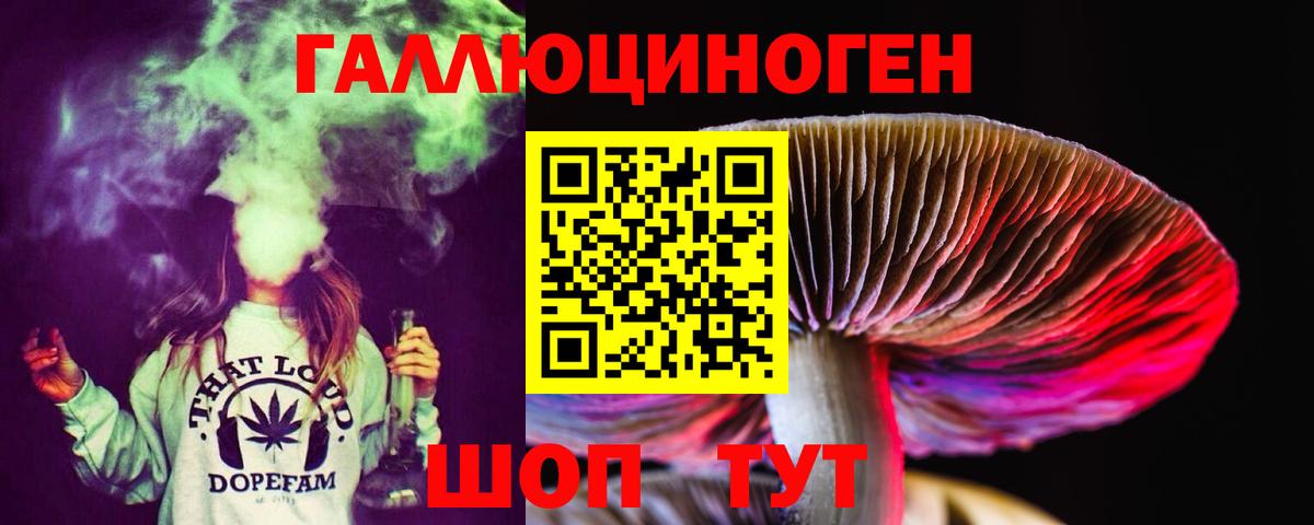 Усть-Илимск  Псилоцибиновые грибы мицелий  Вход с VPN  Псилоцибиновые грибы Cubensis 